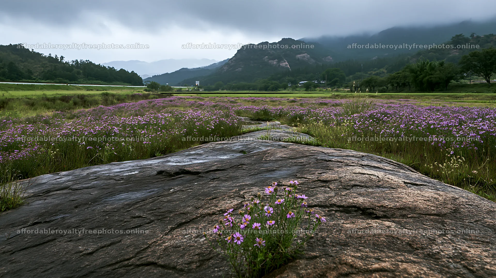 Hiroshima rainy meadow smooth rock foreground – royalty-free photos 10608x5938