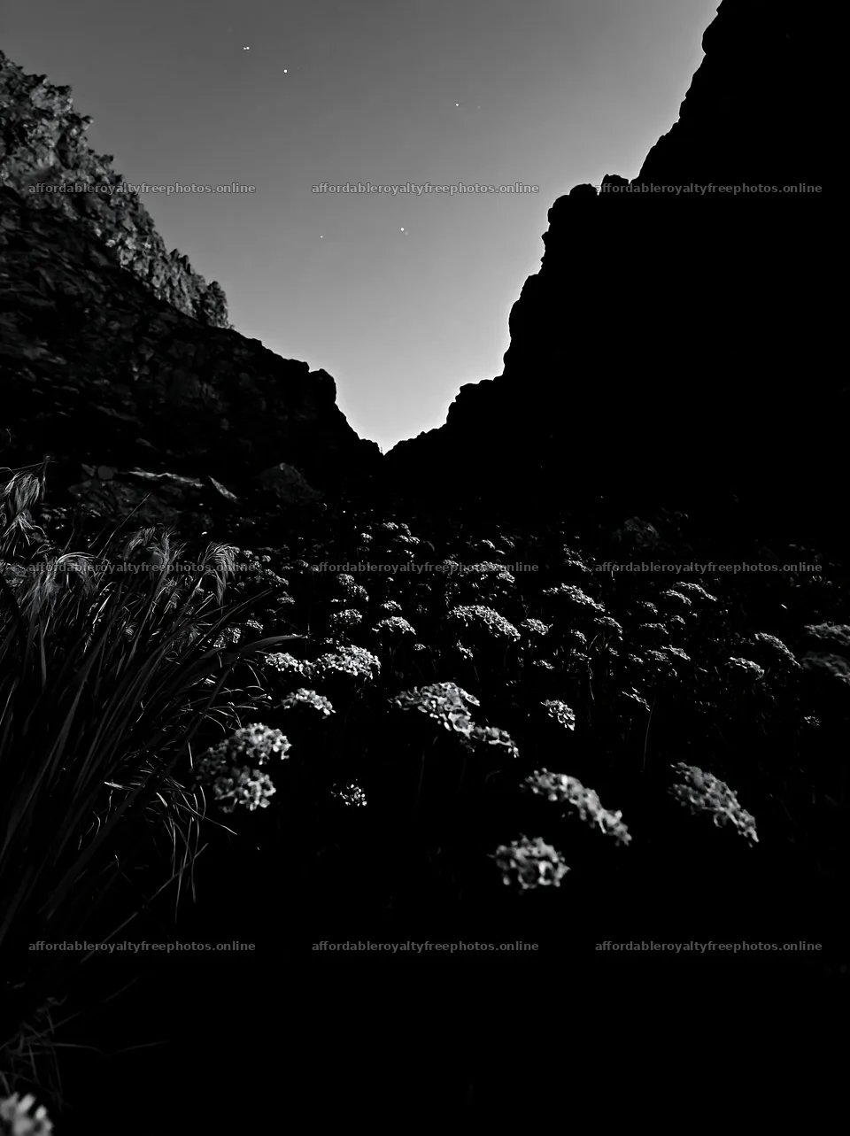 Twilight view of yarrow in a meadow near a rocky canyon – royalty-free photos 6866x9174