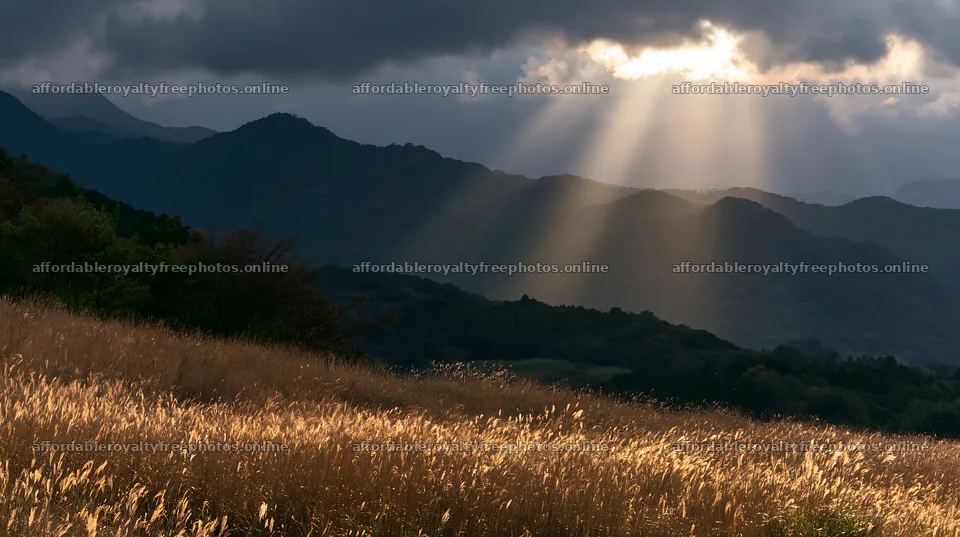 Ehime twilight meadow with dry seedheads and mountains – royalty-free photos 10608x5938