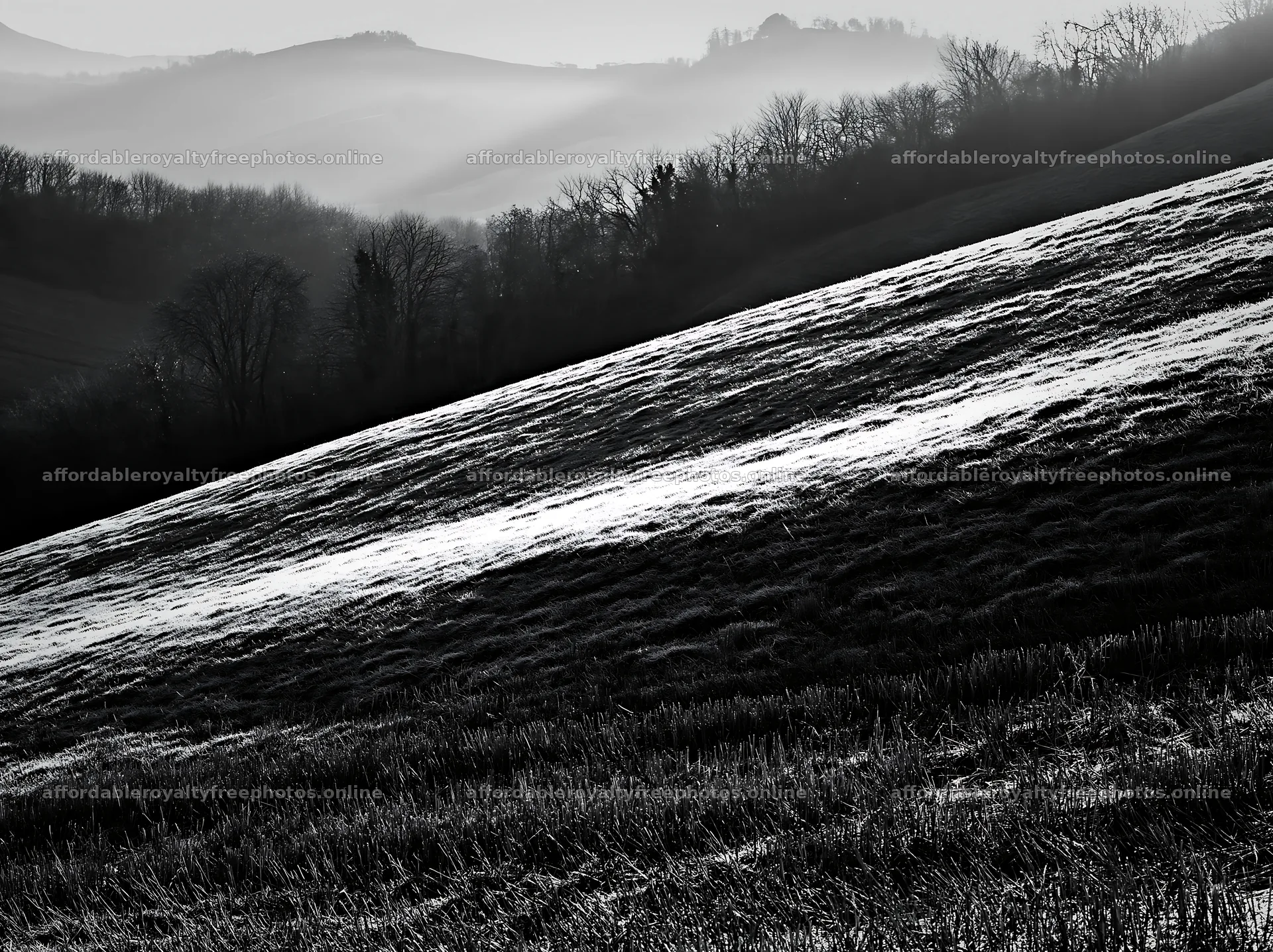 Frost-covered meadow with rolling hills in black and – royalty-free photos 9174x6866