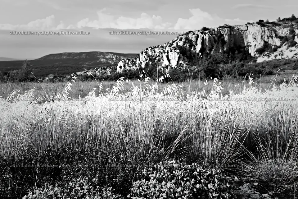Meadow with seedheads and rocky landscape in black and – royalty-free photos 9722x6480