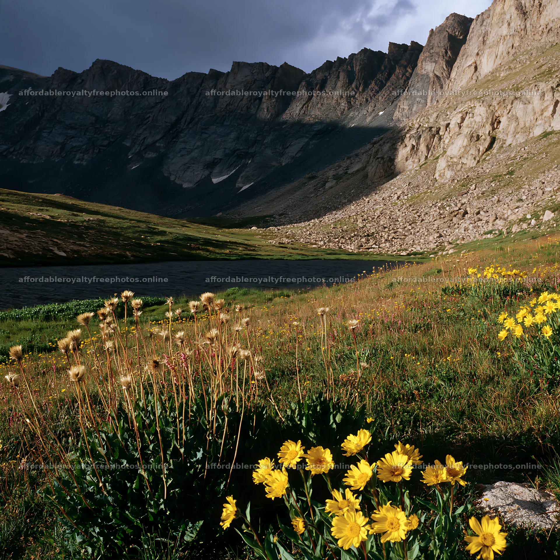 Meadow beneath crags with wildflowers and mountain – royalty-free photos 7938x7938