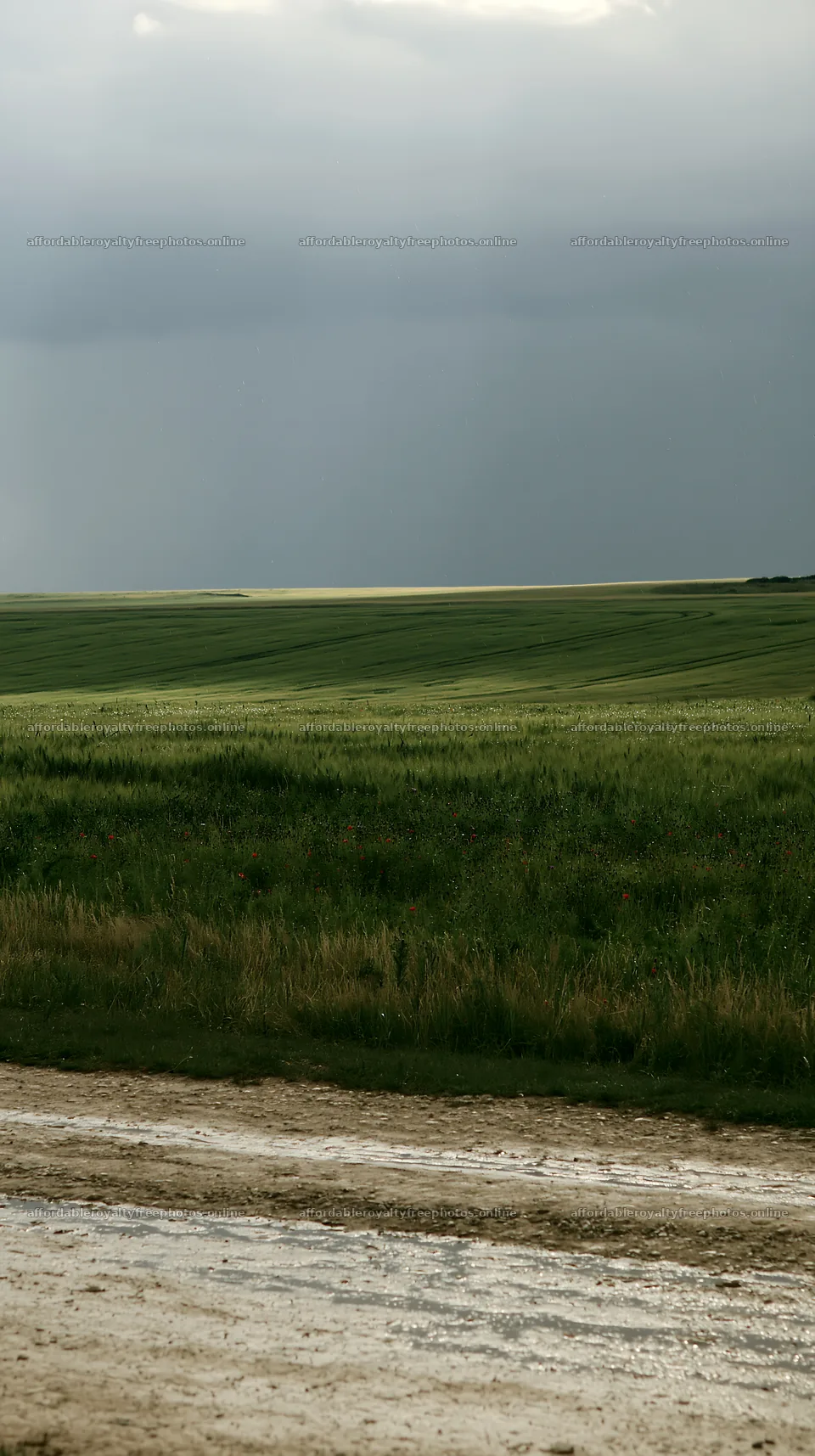 Rainwashed meadow under a cloudy sky in a rural area – royalty-free photos 5938x10608