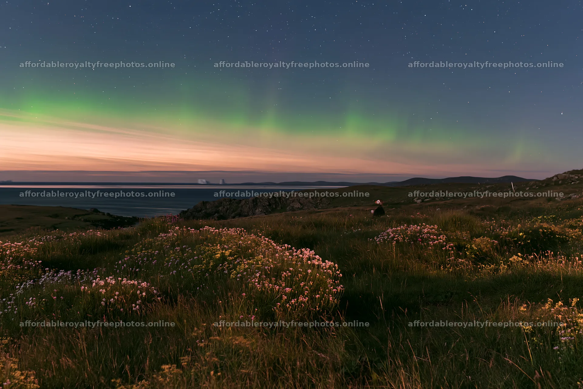 Aurora lights above meadow by the coast at night – royalty-free photos 9722x6480