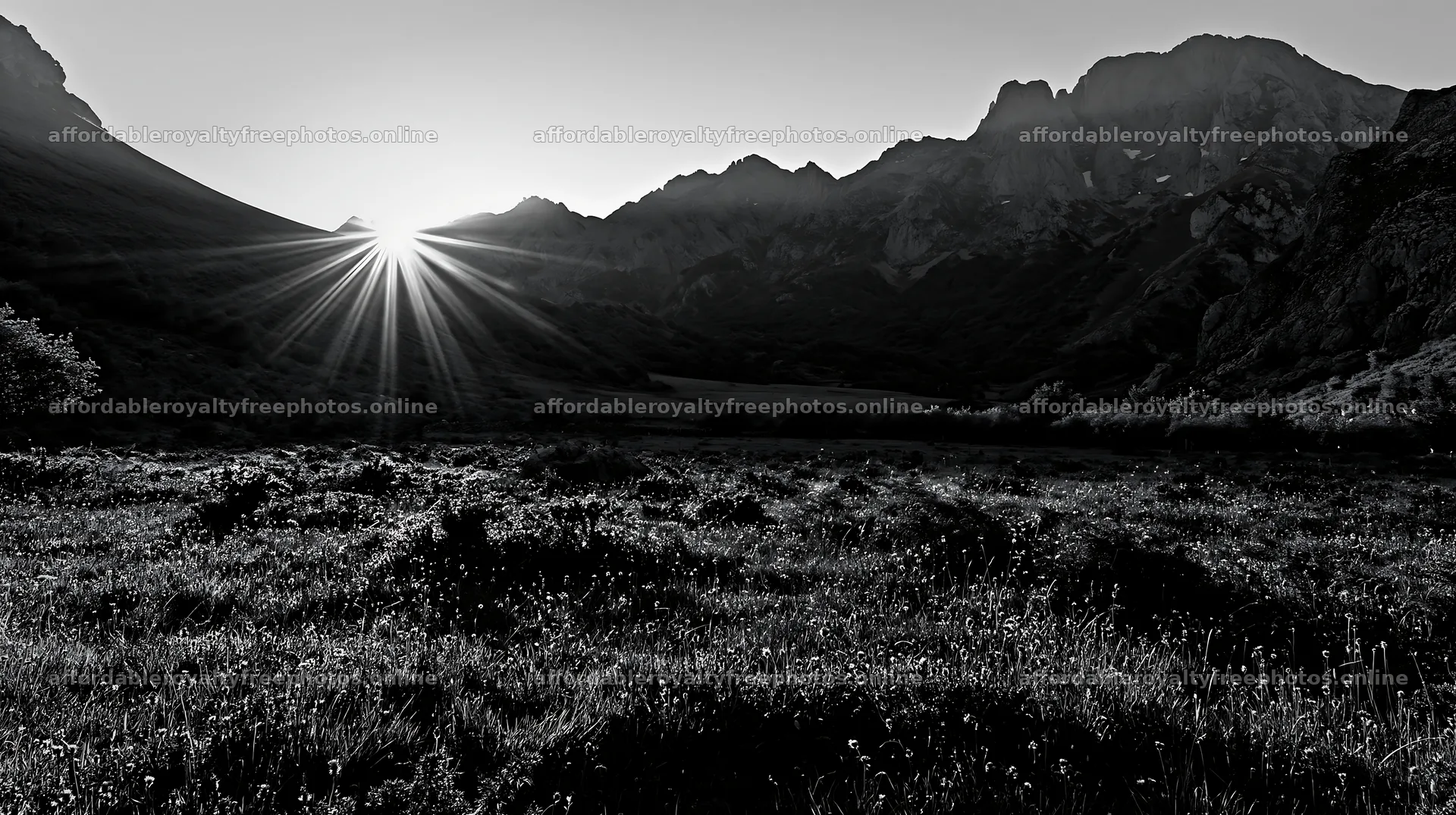 Sun rays shine over Picos de Europa meadow landscape – royalty-free photos 10608x5938