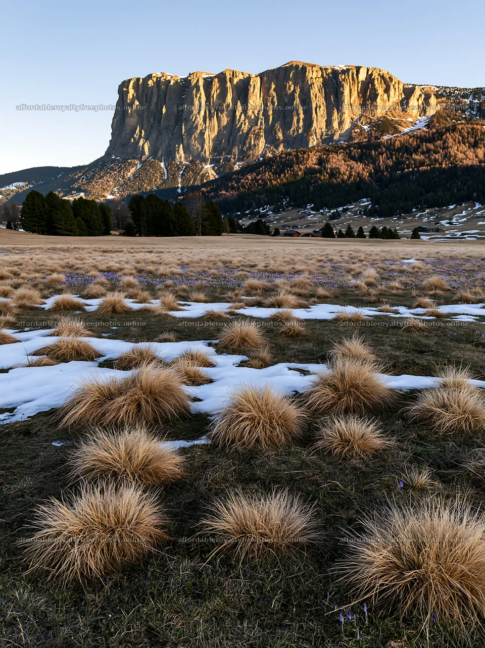 Sunbeams on Alpe di Siusi meadow with grassy patches – royalty-free photos 6866x9174