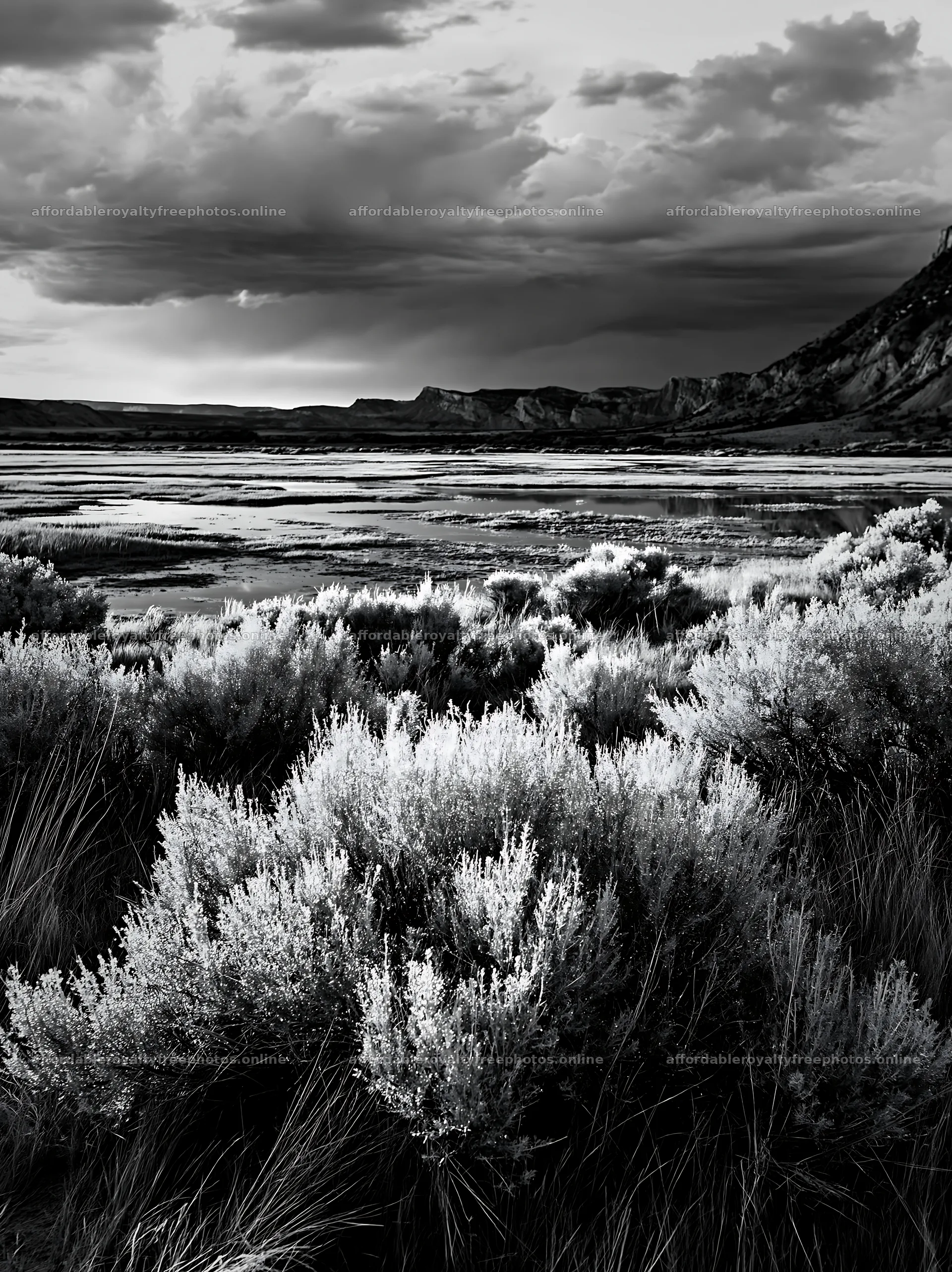Sagebrush meadow under a cloudy sky in monochrome – royalty-free photos 6866x9174