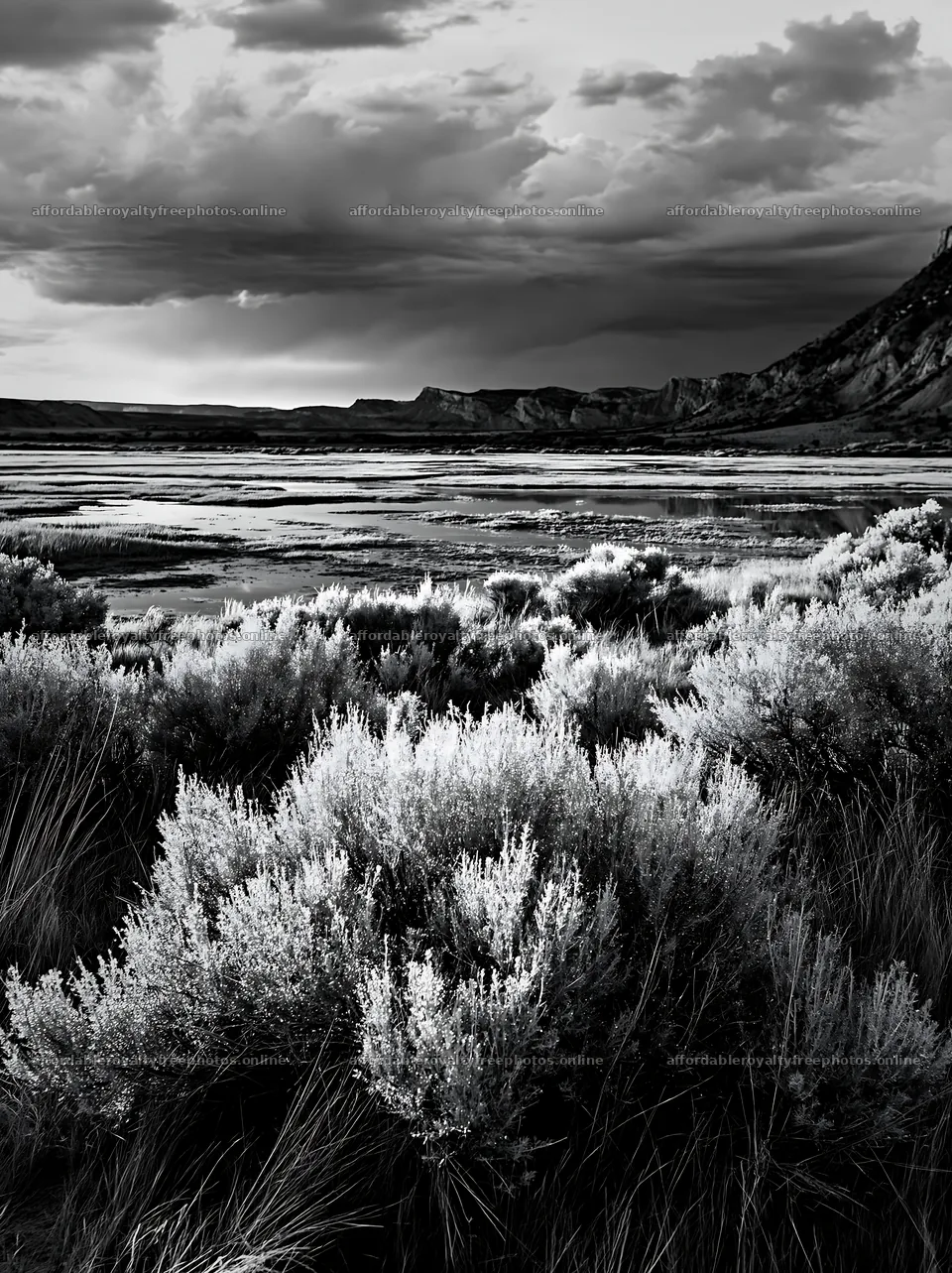 Sagebrush meadow under a cloudy sky in monochrome – royalty-free photos 6866x9174
