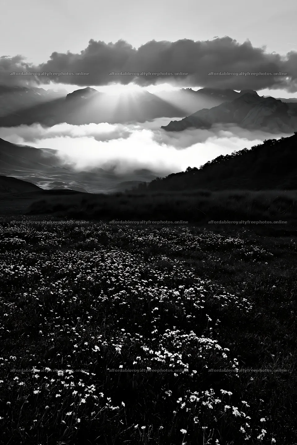 Sunlight breaking through clouds over Picos de Europa – royalty-free photos 6480x9722