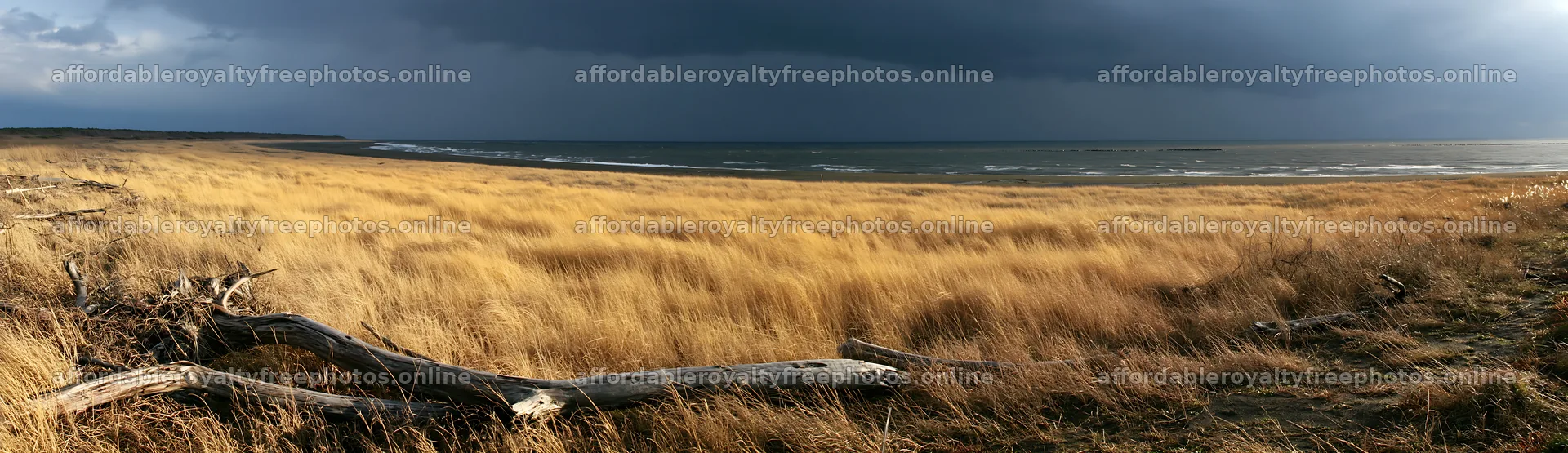 Chiba coastal climate meadow driftwood foreground – royalty-free photos 14762x4268