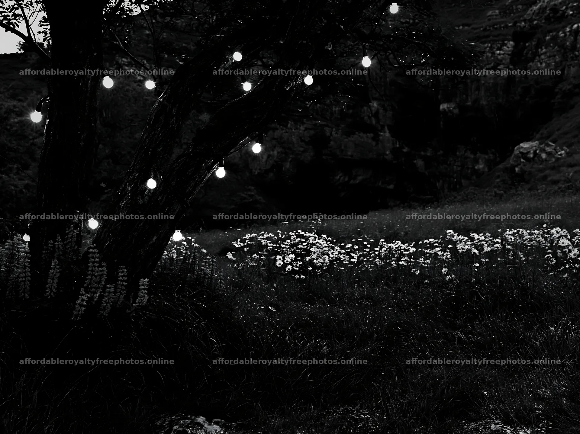 Christmas lights in meadow by cave at night – royalty-free photos 9174x6866