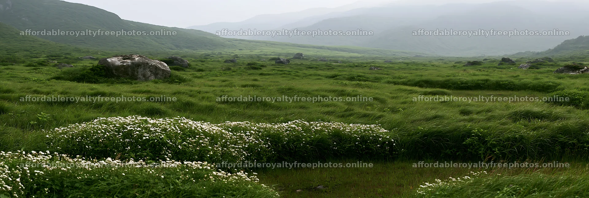 Yamaguchi limestone meadow with pale boulder and green – royalty-free photos 13690x4602