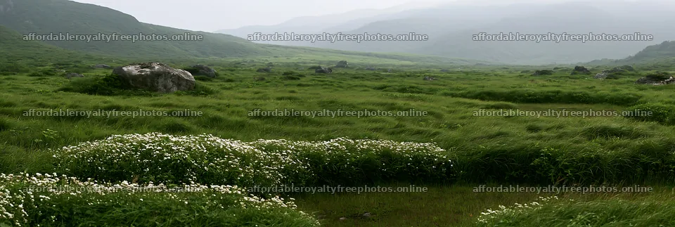 Yamaguchi limestone meadow with pale boulder and green – royalty-free photos 13690x4602