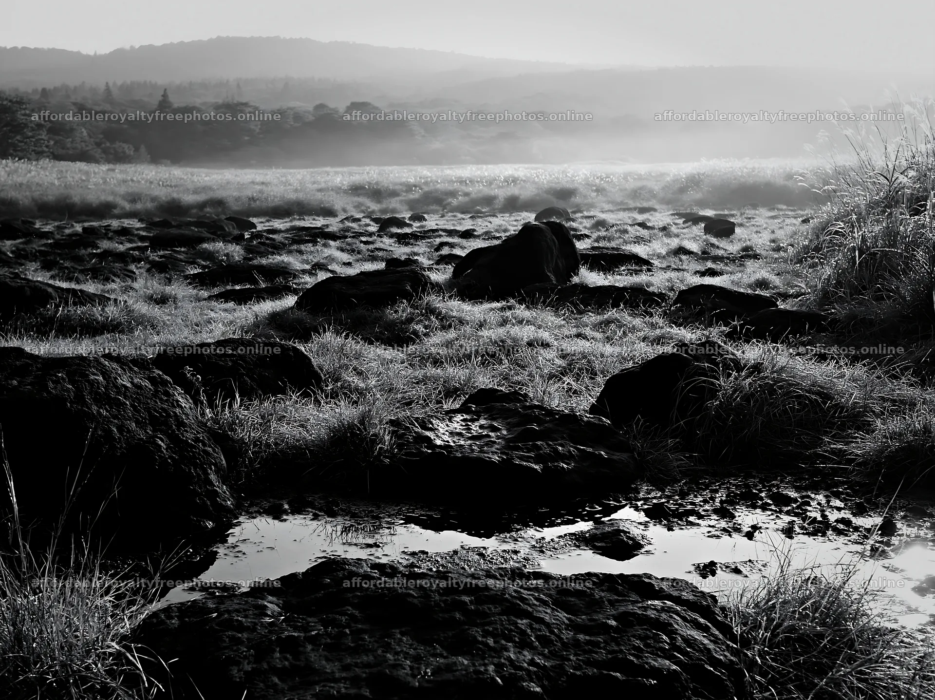 Volcanic stones in Kanagawa meadow at dawn – royalty-free photos 9174x6866