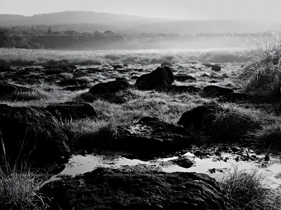 Volcanic stones in Kanagawa meadow at dawn – royalty-free photos 9174x6866