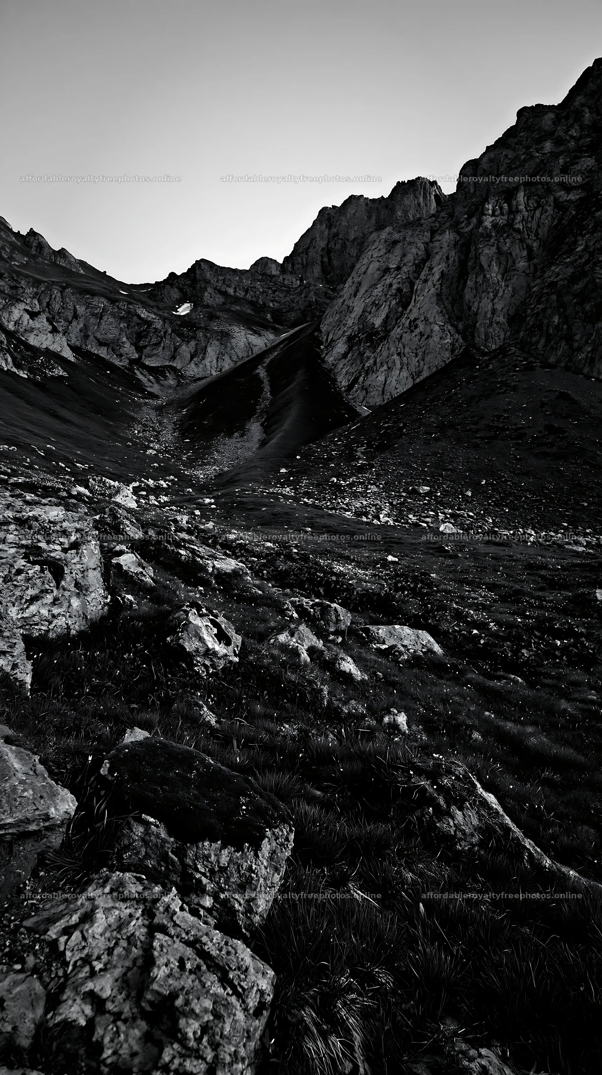 Climate-resilient meadow with rocky mountain landscape – royalty-free photos 5938x10608
