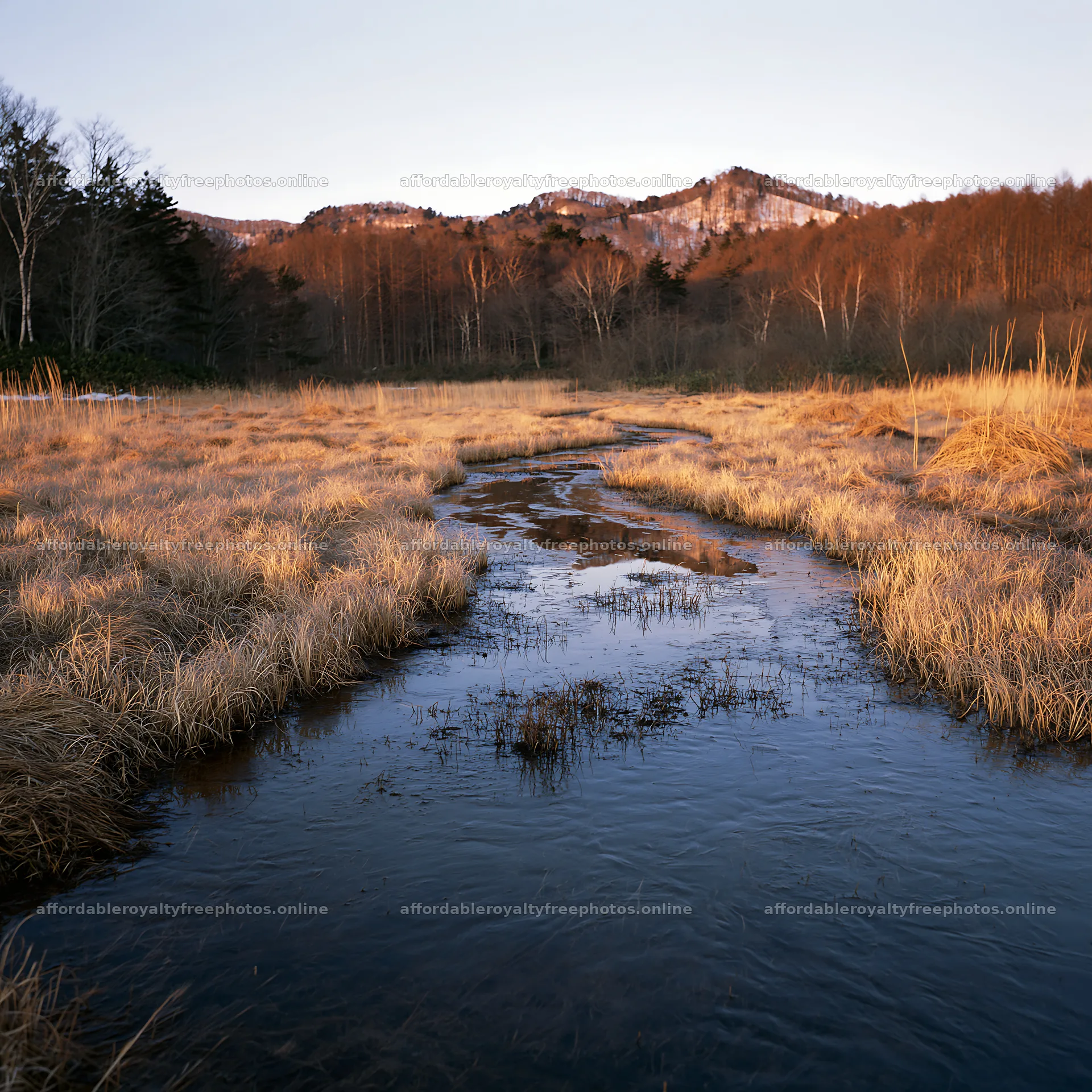 Akita snowmelt meadow with silver grasses – royalty-free photos 7938x7938