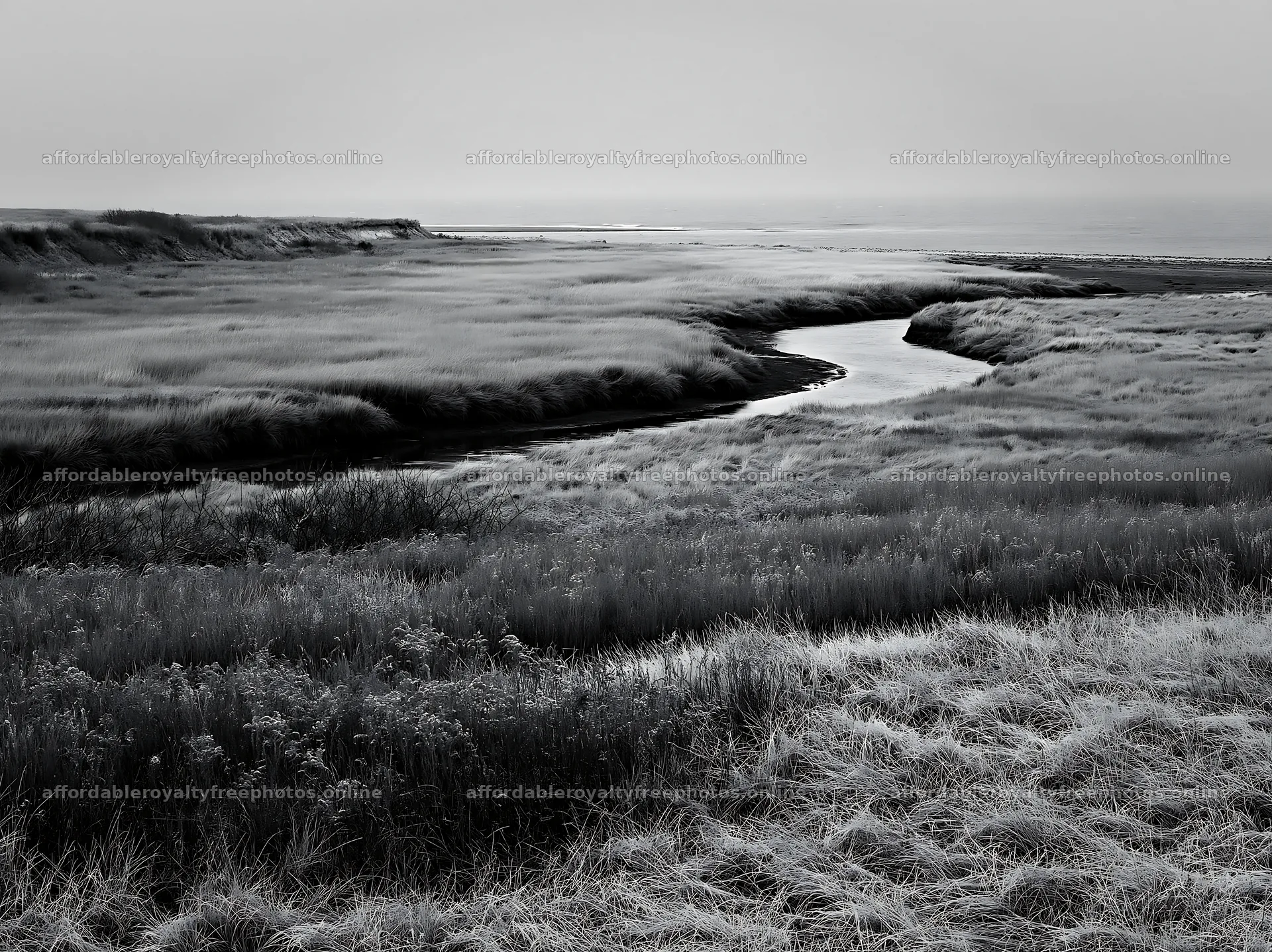 Frosty coastal meadow with a winding stream at dawn – royalty-free photos 9174x6866