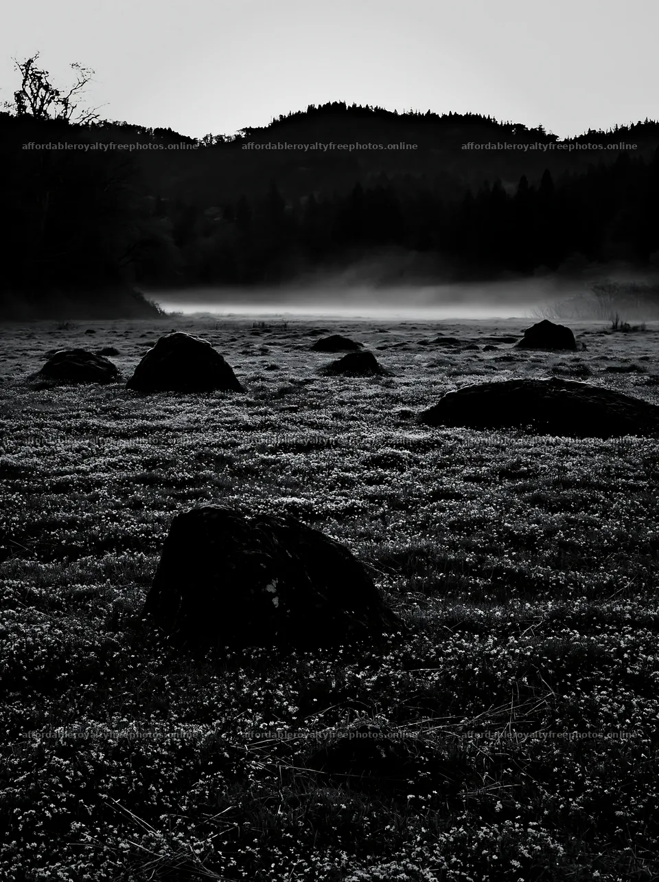 Miyagi spring recovery meadow mossy stone in a misty – royalty-free photos 6866x9174