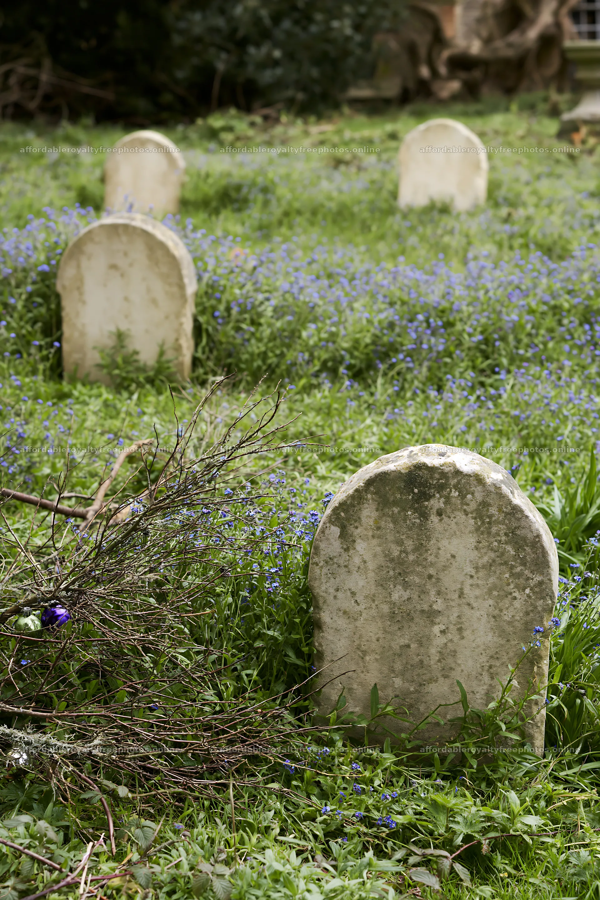 Meadow recovery with gravestones and wildflowers in – royalty-free photos 6480x9722