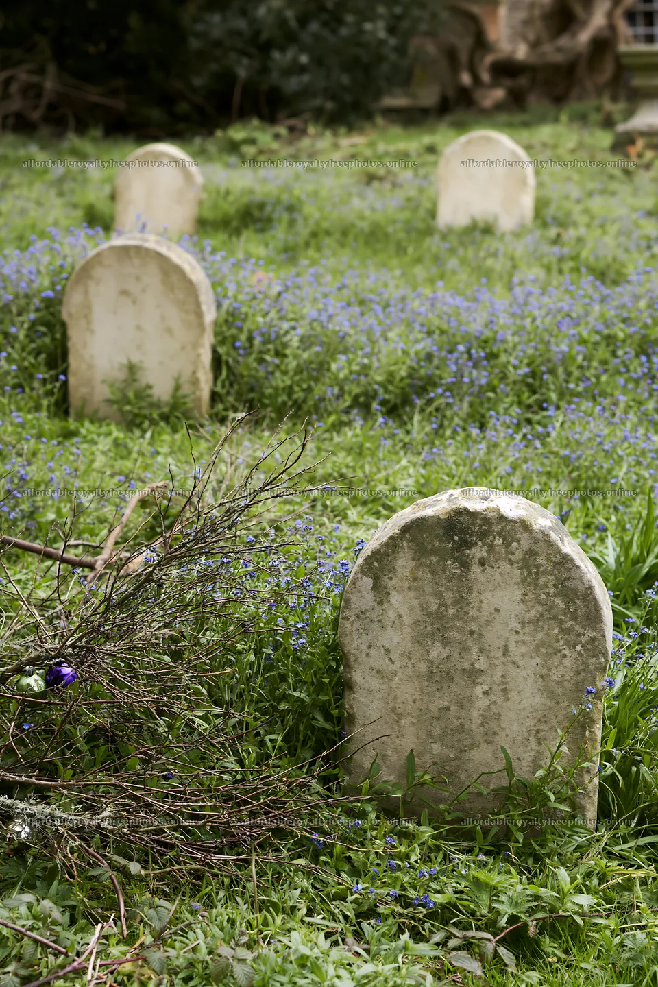 Meadow recovery with gravestones and wildflowers in – royalty-free photos 6480x9722