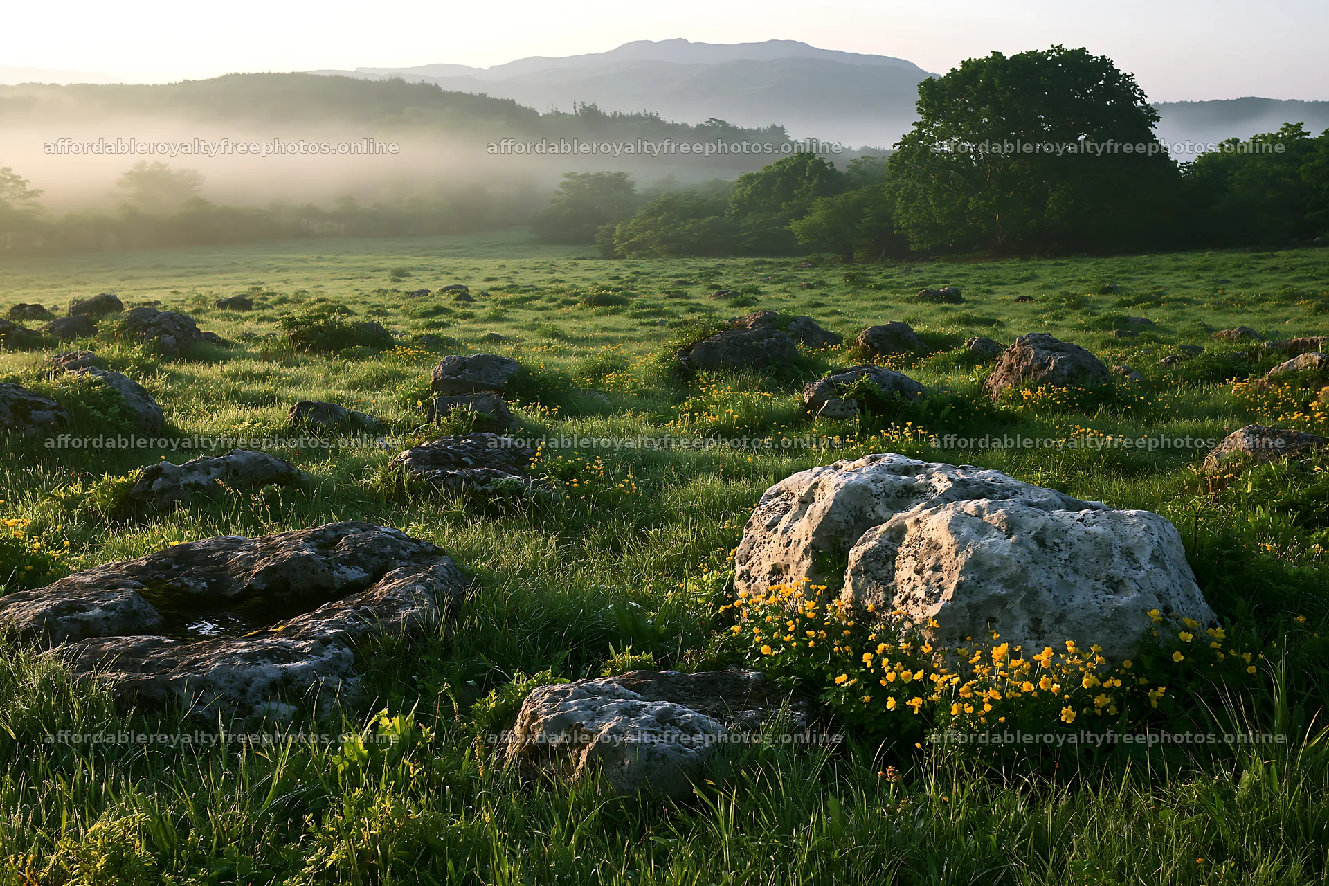 Yamaguchi limestone meadow with pale boulder in the – royalty-free photos 9722x6480