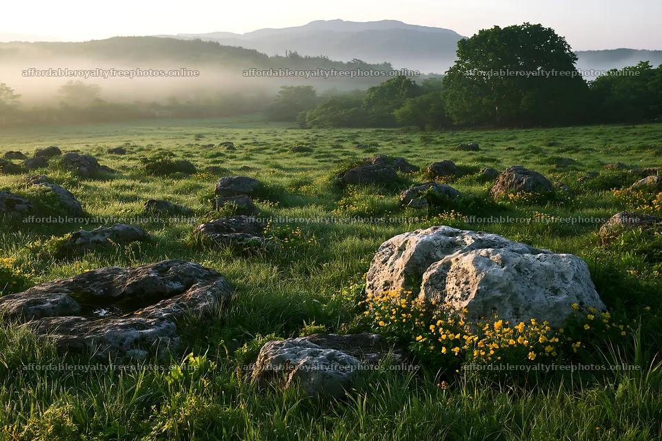 Yamaguchi limestone meadow with pale boulder in the – royalty-free photos 9722x6480