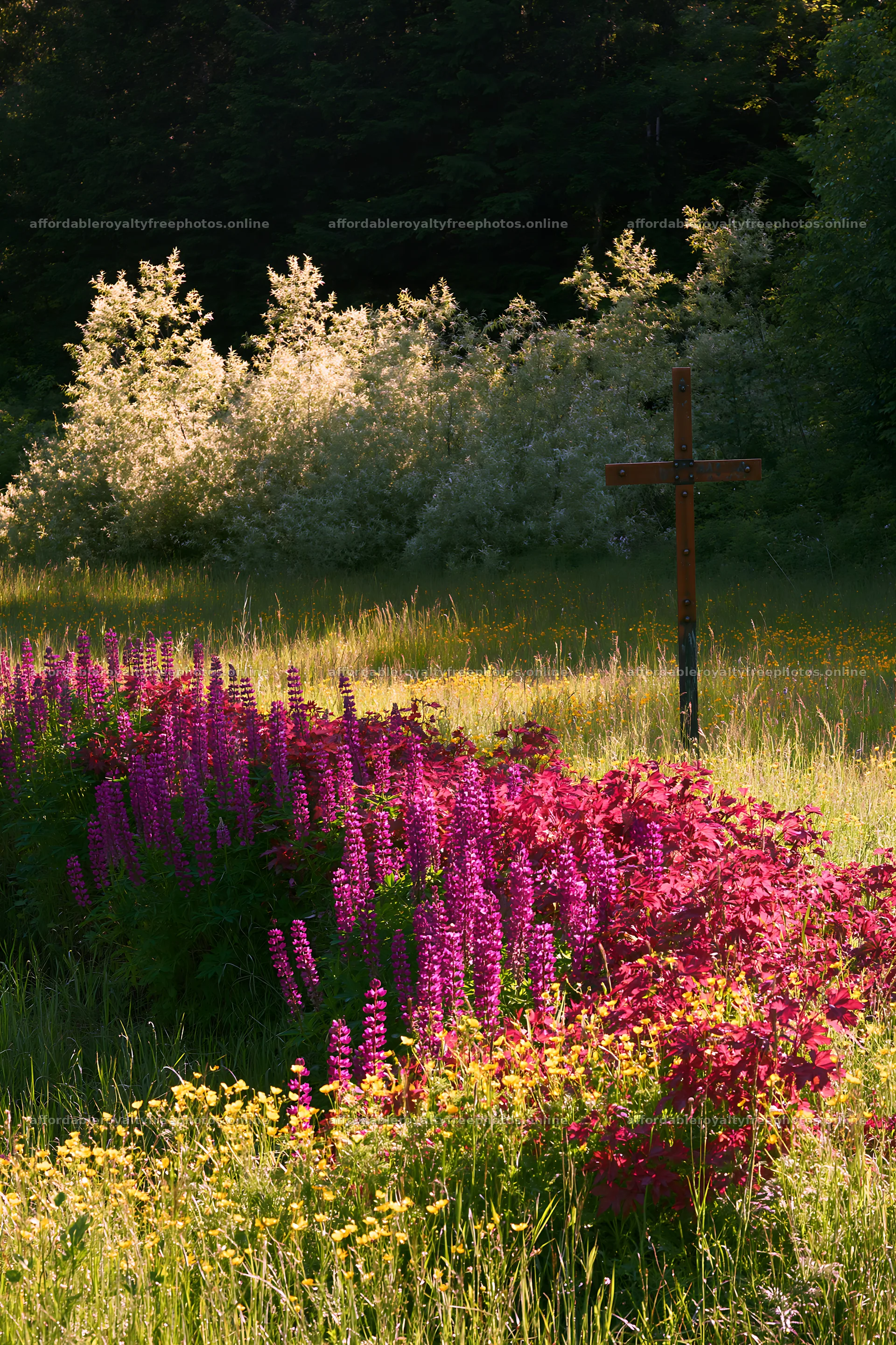 Christian cross beside mineral spring meadow – royalty-free photos 6480x9722