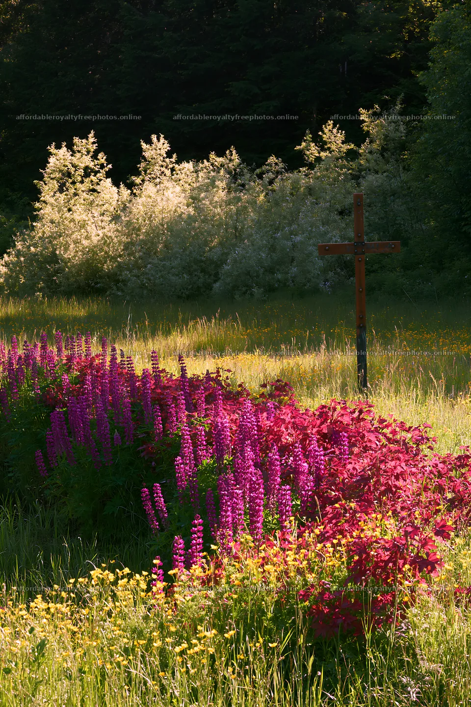 Christian cross beside mineral spring meadow – royalty-free photos 6480x9722