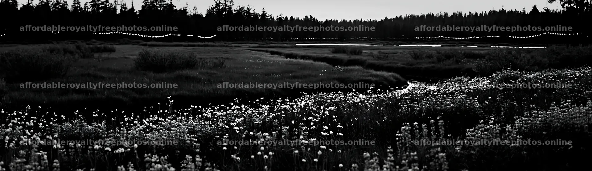 Christmas lights above stream in meadow at dusk – royalty-free photos 14762x4268