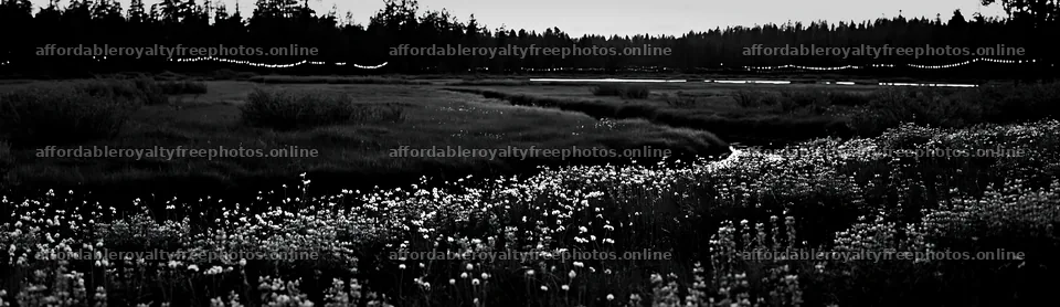 Christmas lights above stream in meadow at dusk – royalty-free photos 14762x4268