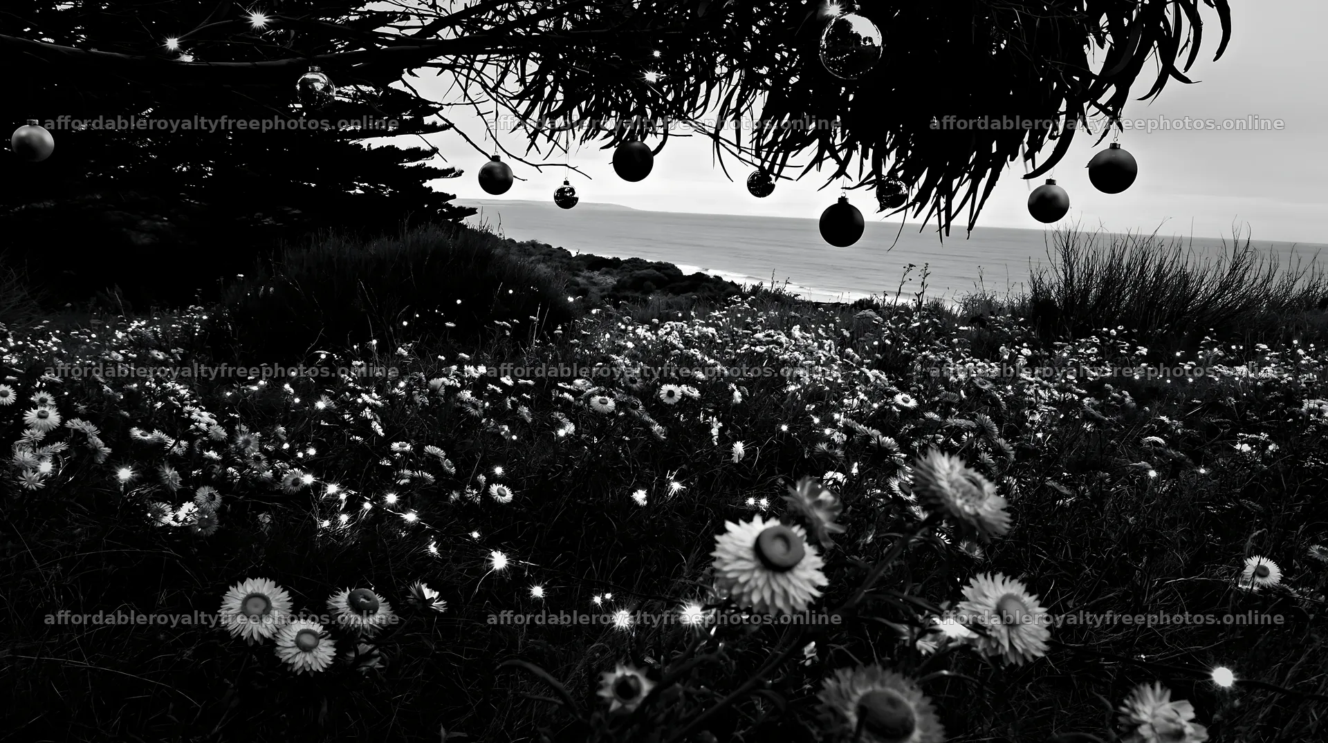 Wide Christmas meadow with native flowers and fairy – royalty-free photos 10608x5938