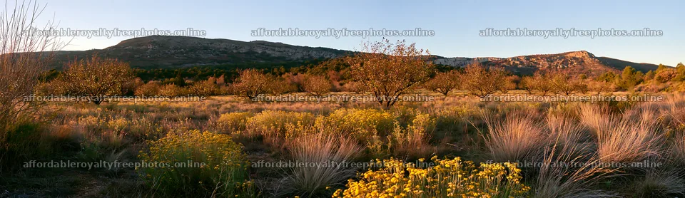 Smart apple tree meadow with lights in a Christmas – royalty-free photos 14762x4268