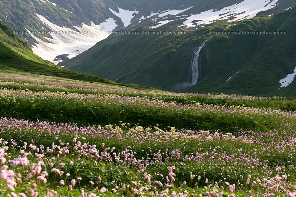 Mountain flower meadow with waterfall in scenic valley – royalty-free photos 9722x6480