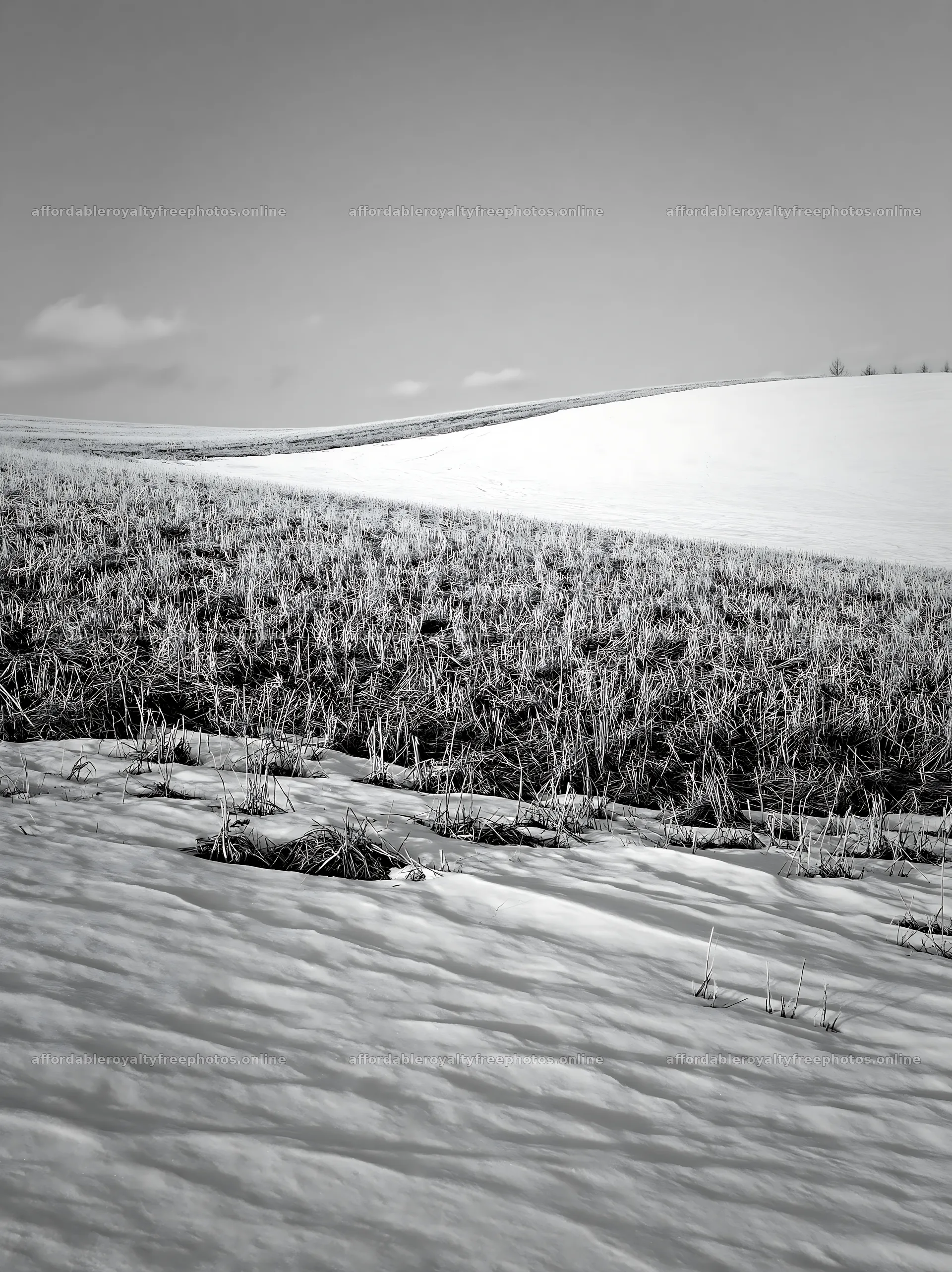 Snow covered hills and meadow in Biei, Japan – royalty-free photos 6866x9174