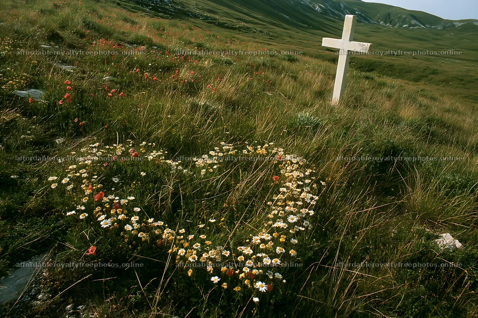 Christian cross with flowers in meadow – royalty-free photos 9722x6480