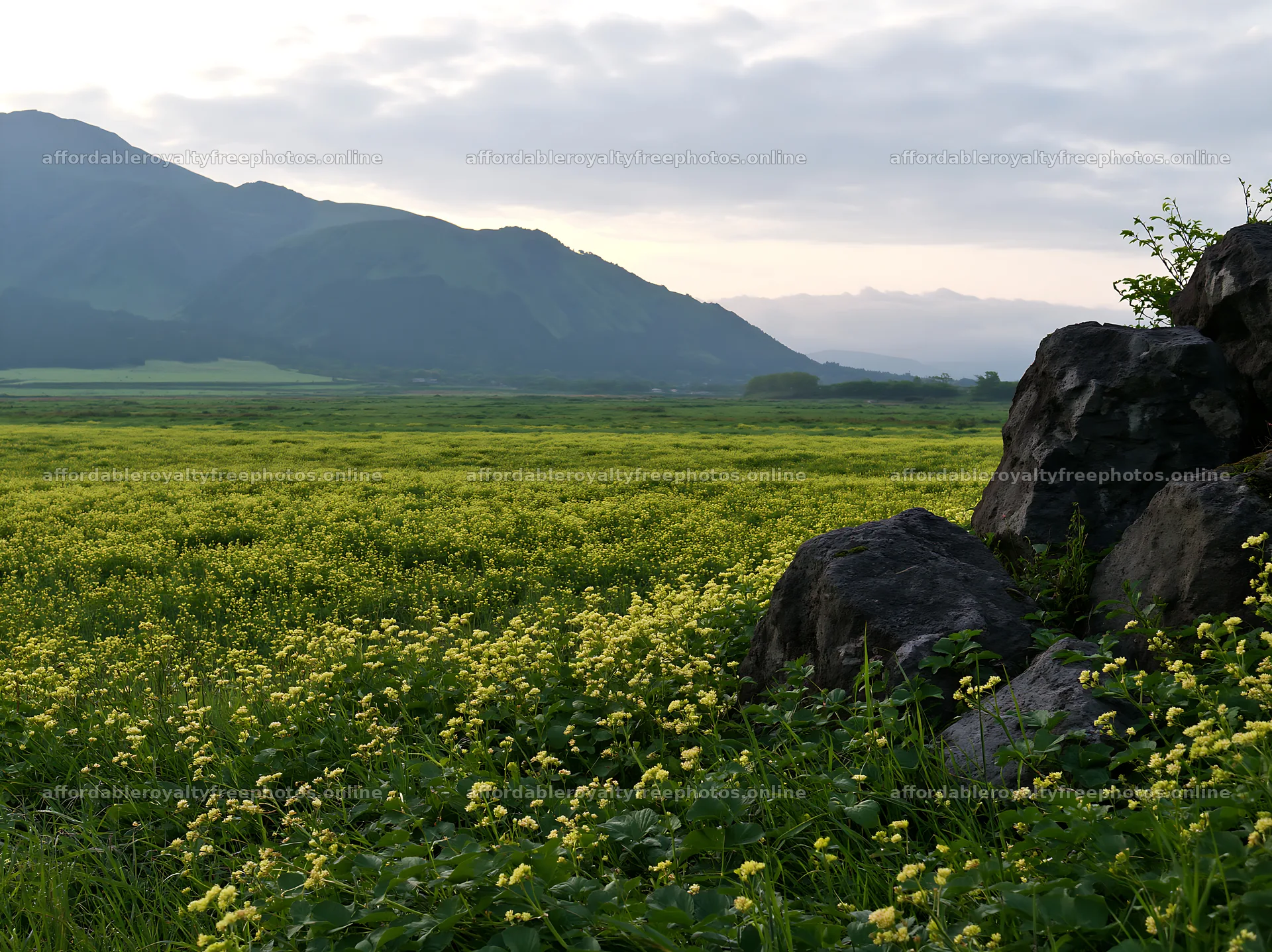 Kumamoto volcanic meadow dark rock foreground with – royalty-free photos 9174x6866