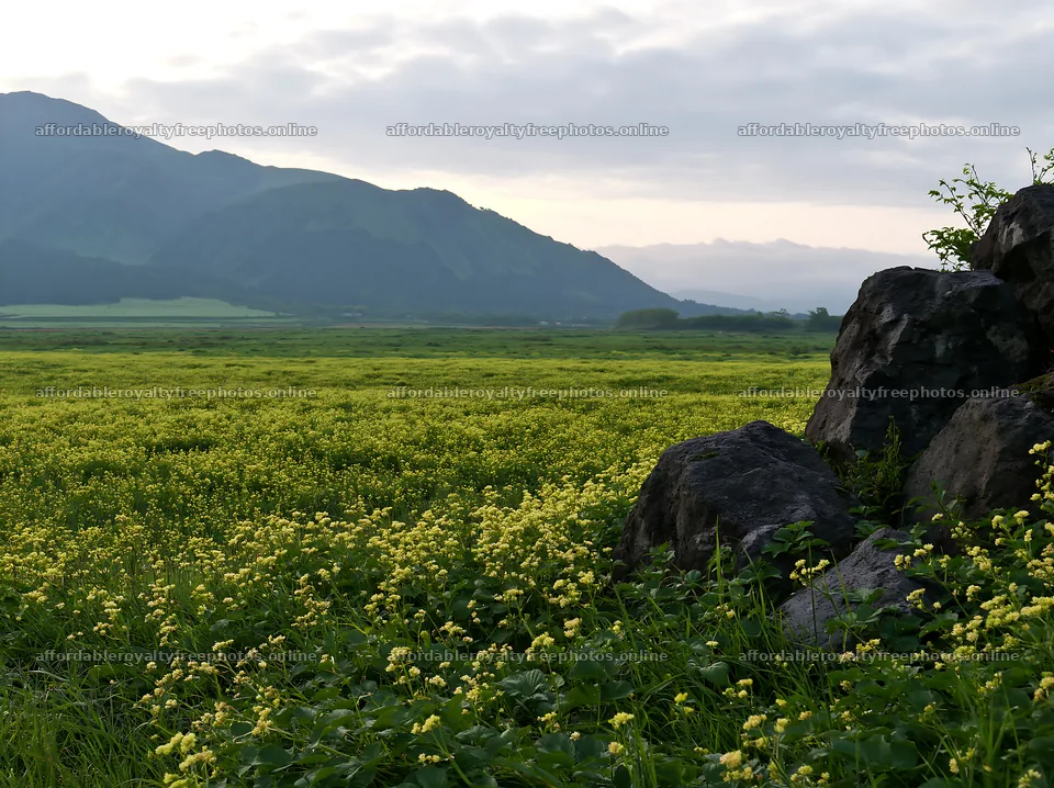 Kumamoto volcanic meadow dark rock foreground with – royalty-free photos 9174x6866