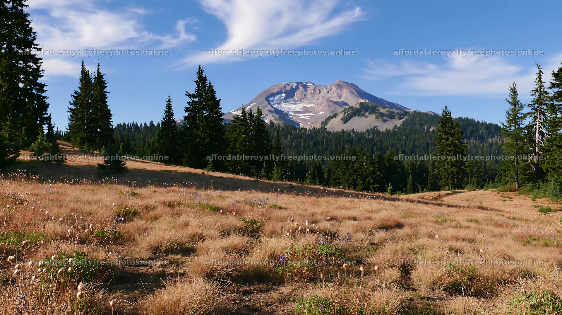 Seedhead meadow with mountain in the background – royalty-free photos 10608x5938
