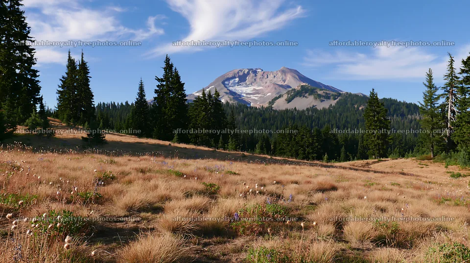 Seedhead meadow with mountain in the background – royalty-free photos 10608x5938
