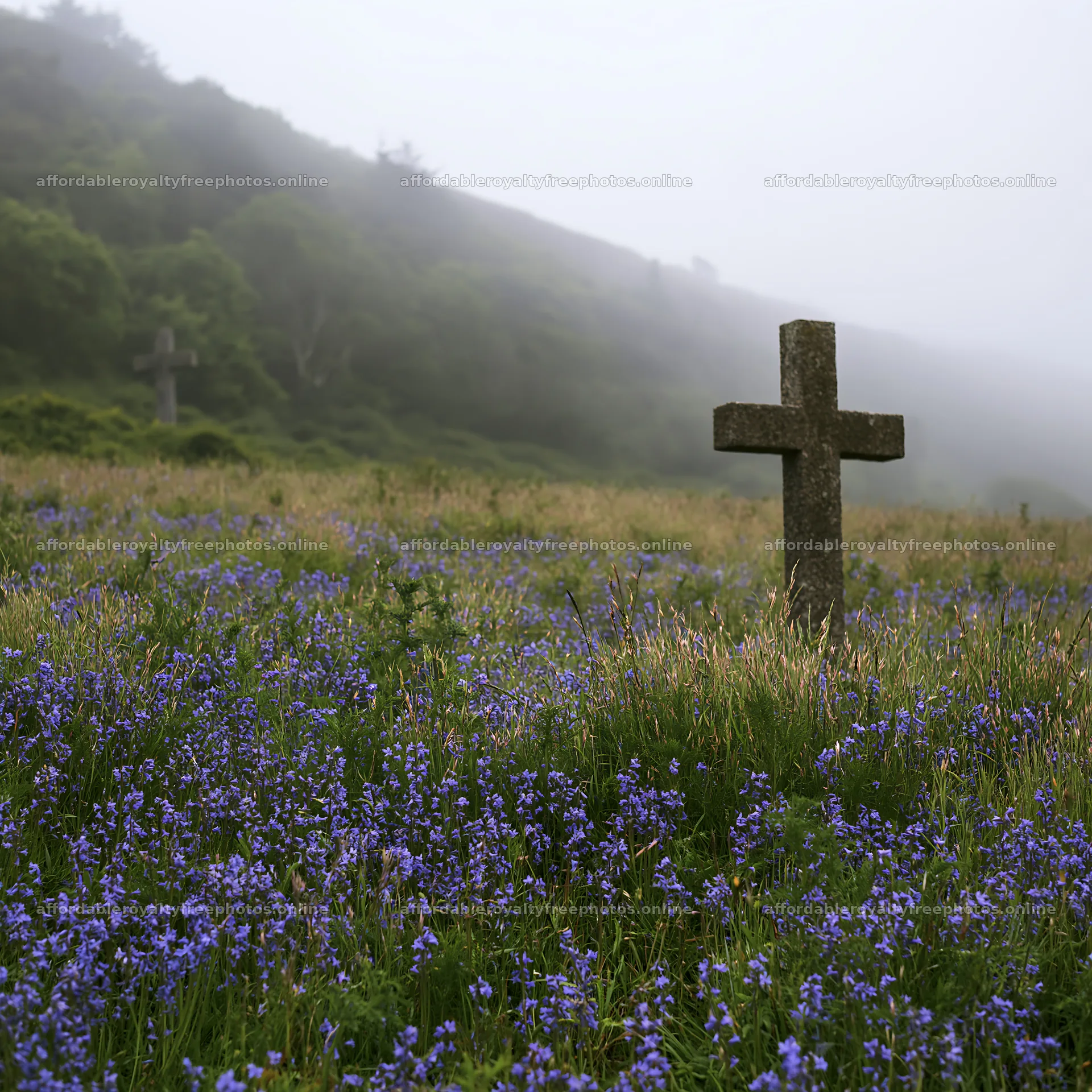 Christian cross in meadow with flowers and mist – royalty-free photos 7938x7938