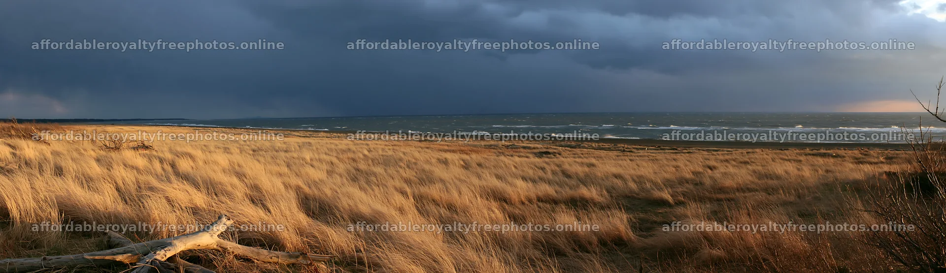 Chiba coastal climate meadow driftwood foreground – royalty-free photos 14762x4268