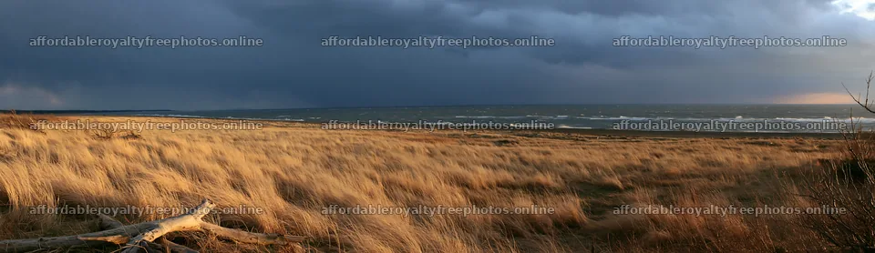 Chiba coastal climate meadow driftwood foreground – royalty-free photos 14762x4268