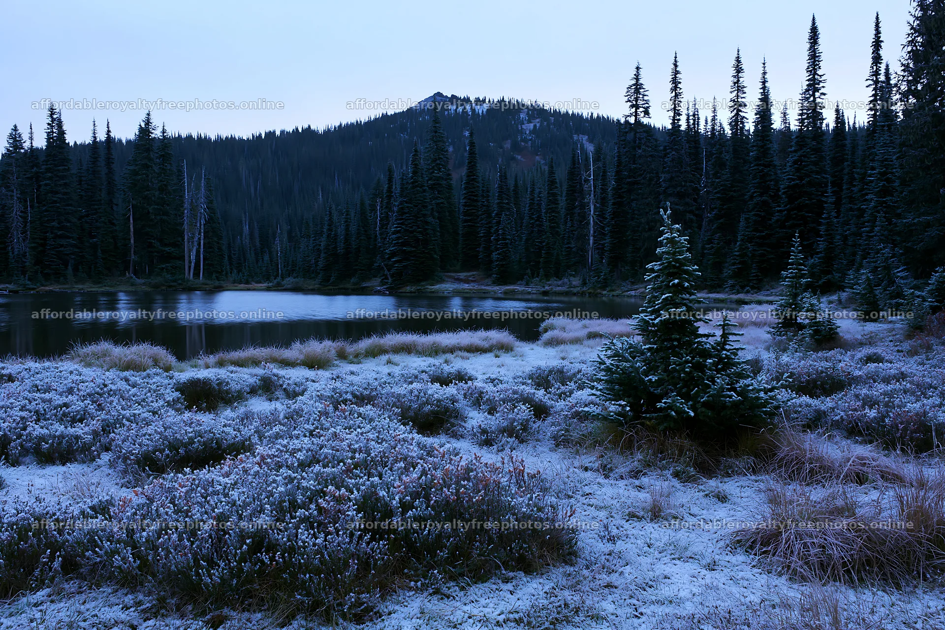 Lakeside meadow covered with fresh snow on a winter – royalty-free photos 9722x6480