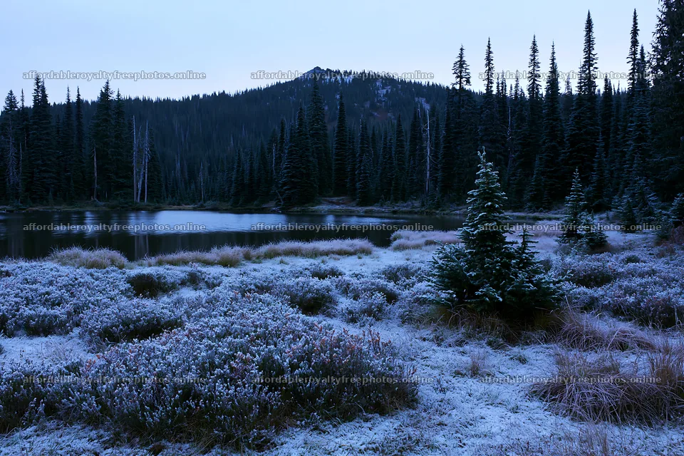 Lakeside meadow covered with fresh snow on a winter – royalty-free photos 9722x6480