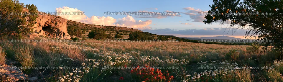 Christmas ornaments near cave in meadow at sunset – royalty-free photos 14762x4268