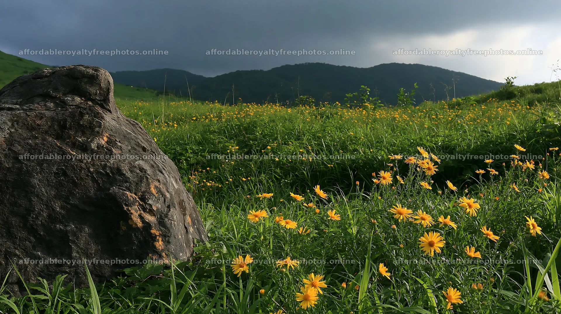 Aomori climate resilient meadow with boulder in green – royalty-free photos 10608x5938
