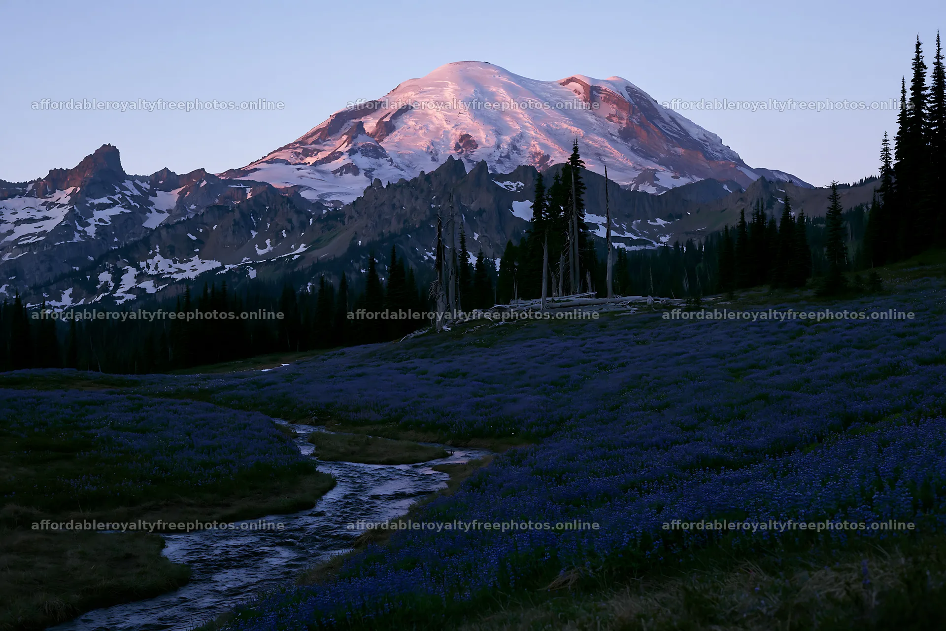 Mount Rainier wildflower meadow at sunrise – royalty-free photos 9722x6480