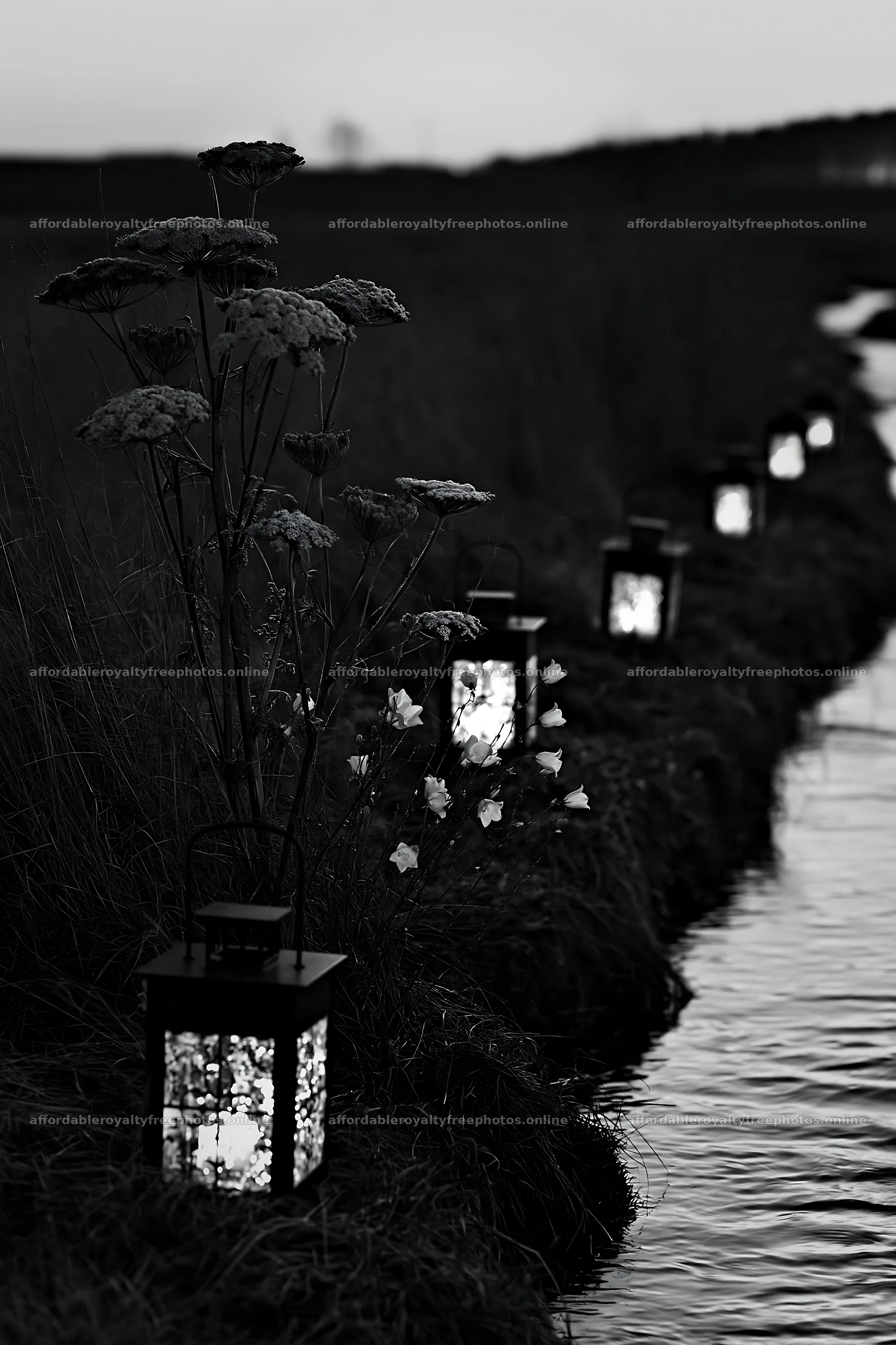 Christmas lanterns beside stream at dusk in meadow – royalty-free photos 6480x9722