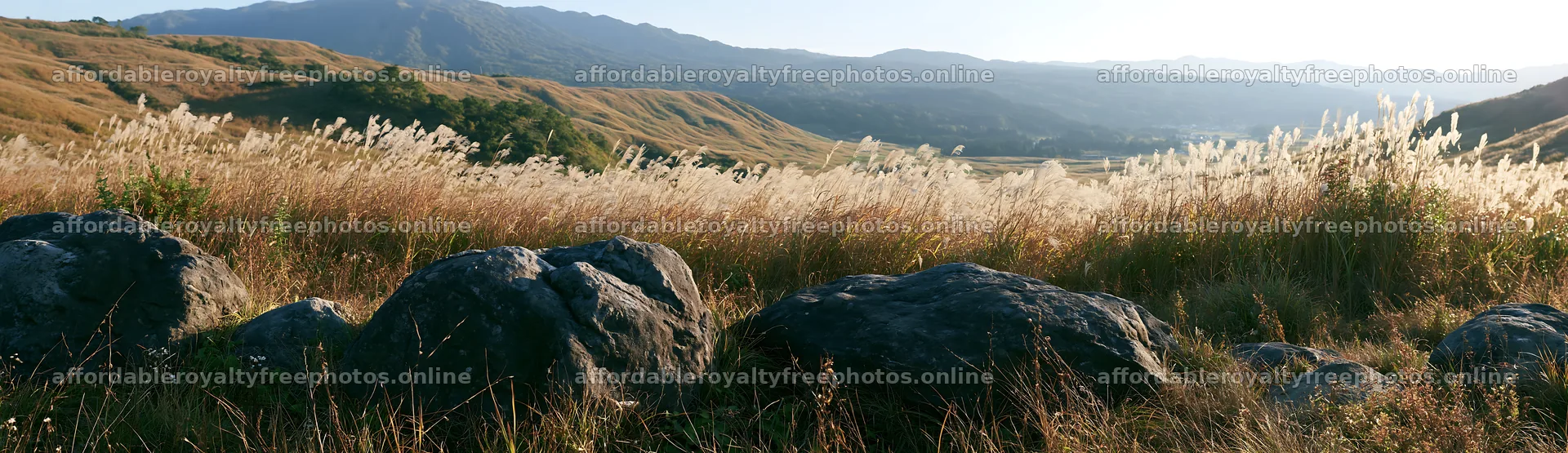 Rewilded Akita silver grass meadow stones with distant – royalty-free photos 14762x4268